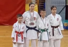 Dobri rezultati karatista "Šabac - Fuđimi"