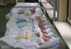 Rođeno 14 beba za sedam dana