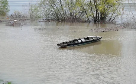 Redovna odbrana od poplava na Savi