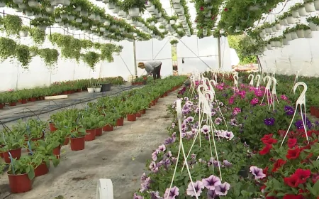 Otvorena sezona cvećarstva