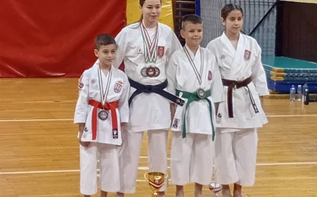 Dobri rezultati karatista "Šabac - Fuđimi"