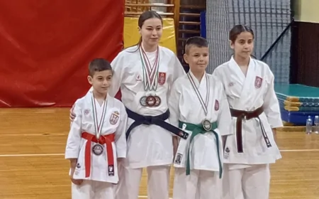 Dobri rezultati karatista "Šabac - Fuđimi"