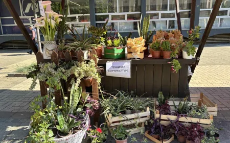 Tehničari hortikilulture na Festivalu cveća