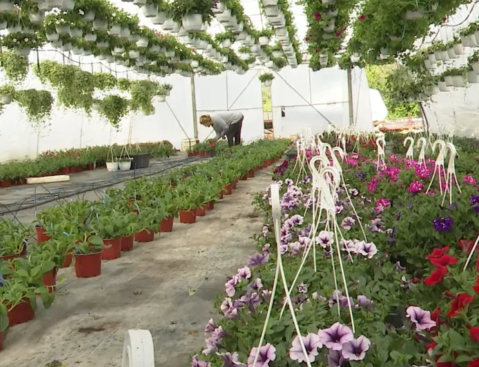 Otvorena sezona cvećarstva