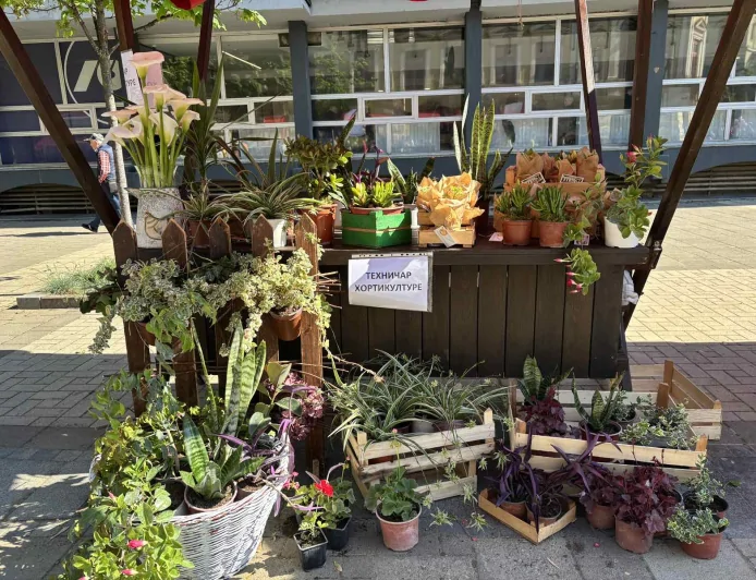 Tehničari hortikilulture na Festivalu cveća
