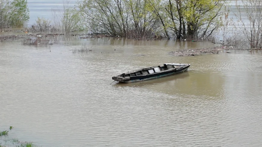 Redovna odbrana od poplava na Savi