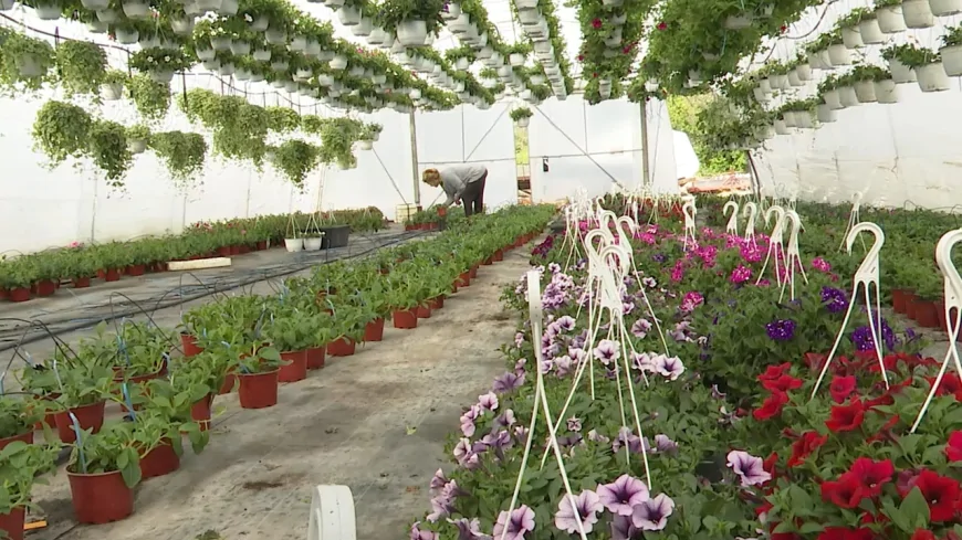 Otvorena sezona cvećarstva