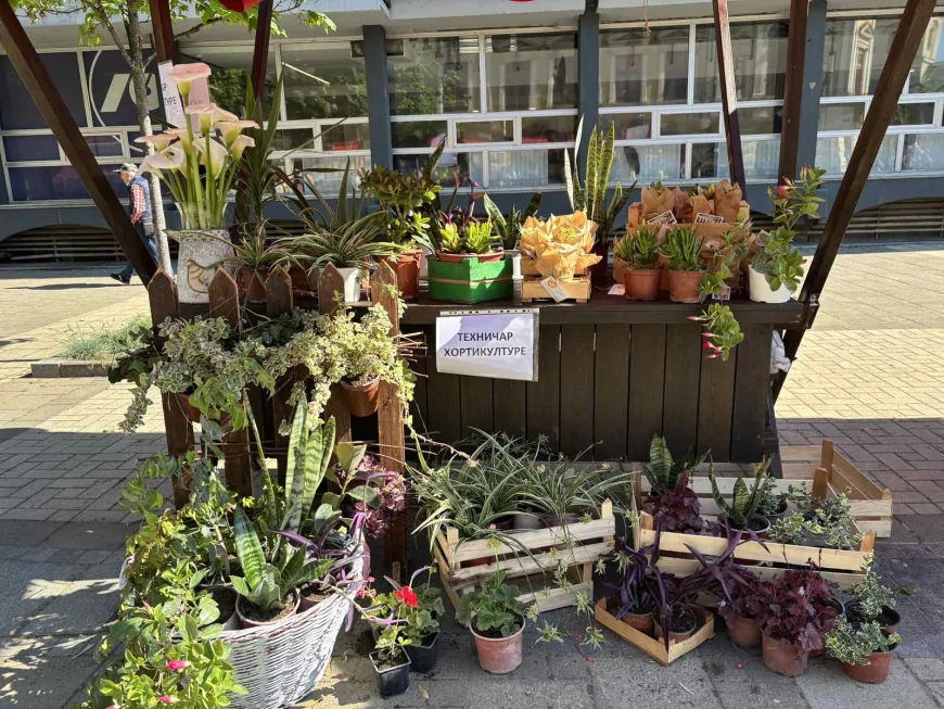 Tehničari hortikilulture na Festivalu cveća