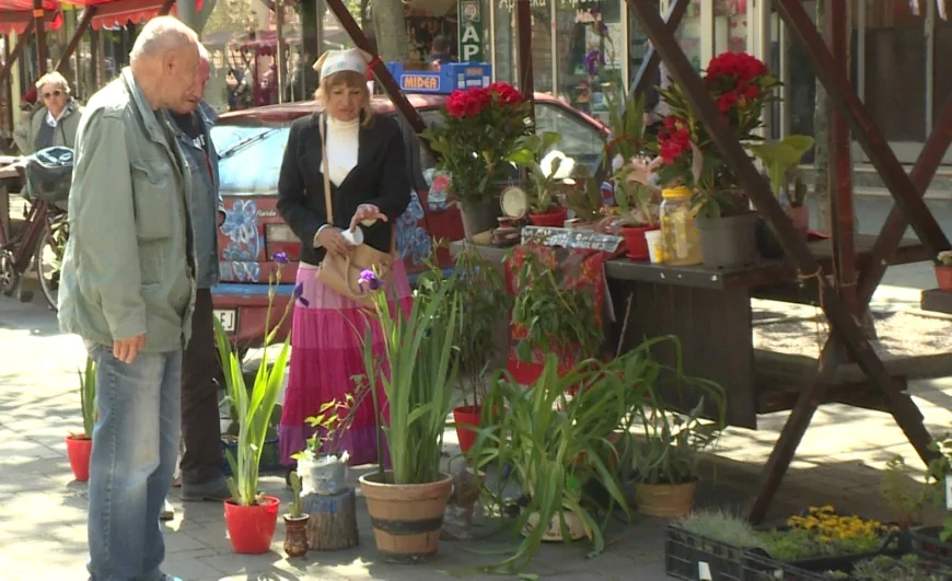 Festival cveća doneo bogat program