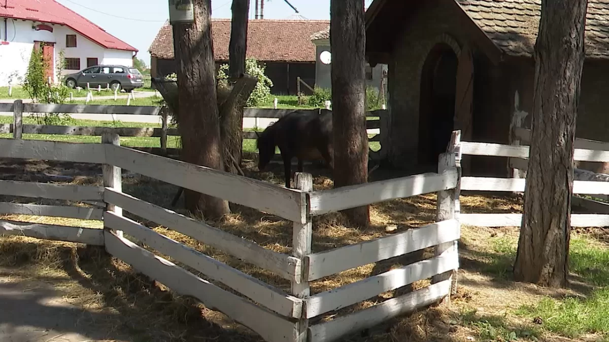 Zoo vrt atrakcija Poljoprivredne škole 