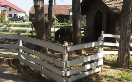 Zoo vrt atrakcija Poljoprivredne škole 