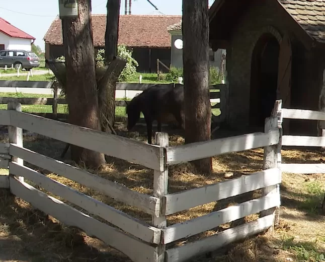 Zoo vrt atrakcija Poljoprivredne škole 