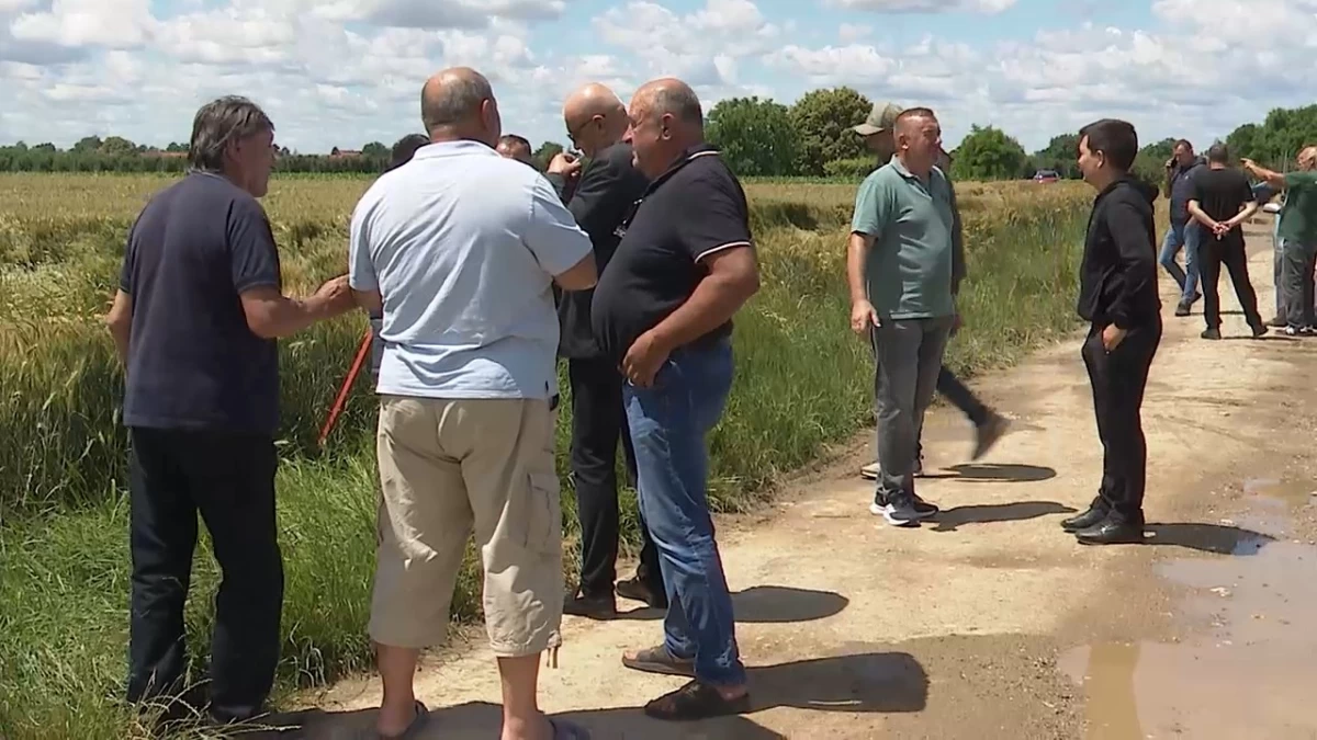 Dani polja u Zminjaku