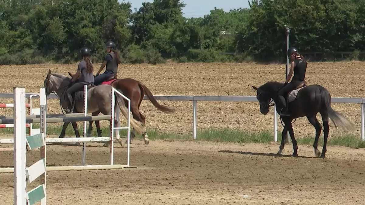 Taur ponosno gradi budućnost konjičkog sporta