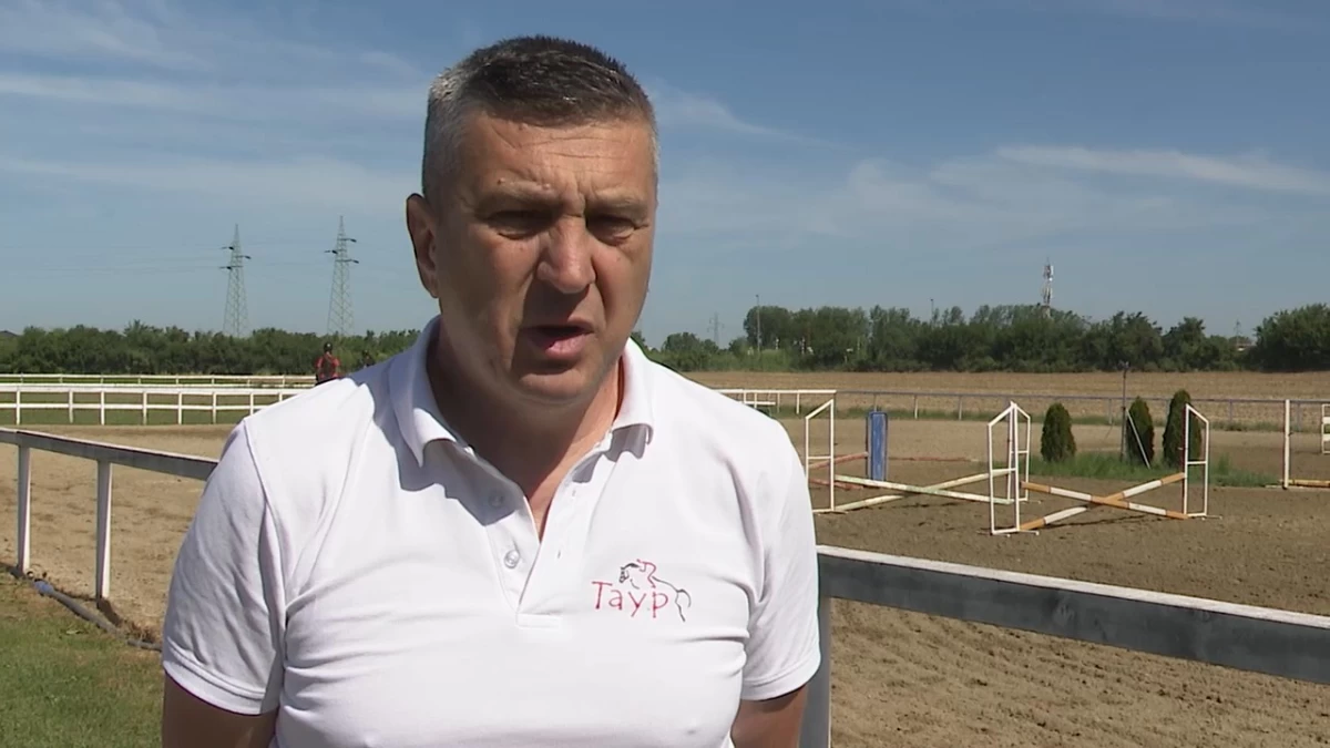 Taur spreman za državni šampionat 