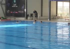 Talenti Save i Šapca potvrđuju kvalitet rada