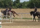 Taur ponosno gradi budućnost konjičkog sporta