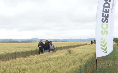 Predstavljene sorte pšenice za narednu sezonu 
