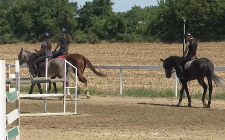 Taur ponosno gradi budućnost konjičkog sporta