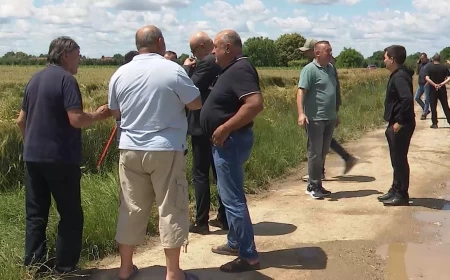Dani polja u Zminjaku