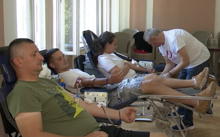 Naredna akcija dobrovoljnog davanja u nedelju na Letnjikovcu