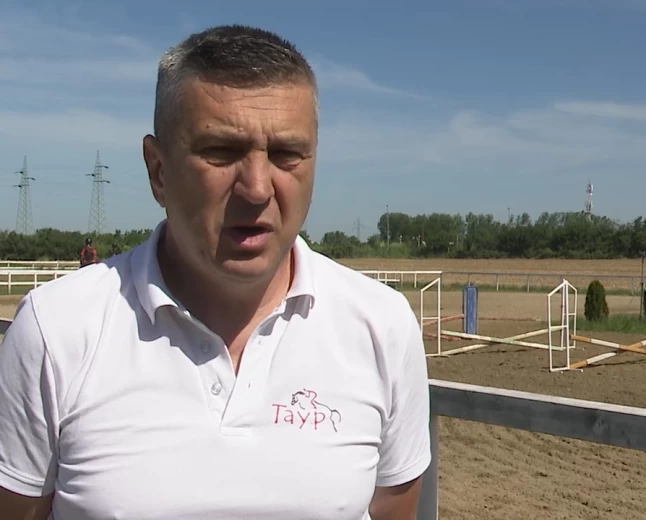 Taur spreman za državni šampionat 