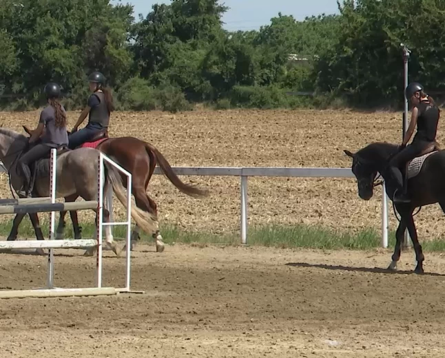 Taur ponosno gradi budućnost konjičkog sporta