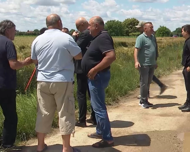 Dani polja u Zminjaku