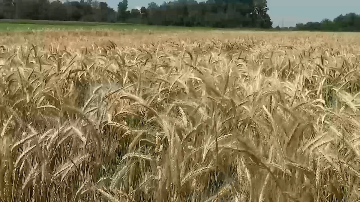 Prinosi niži od očekivanih