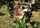 Slikari iz Srbije stvarali u Pocerini 