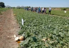 Dani polja kompanije Agrimatko
