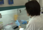 PCR analizom do brzog otkrivanja infekcija koje prenose krpelji