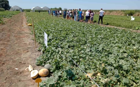 Dani polja kompanije Agrimatko