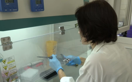 PCR analizom do brzog otkrivanja infekcija koje prenose krpelji