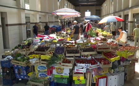 Paradajz od 150 do 300 dinara, trešnje 300