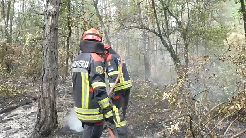 Vatrogasci iz Nemačke i Rumunije pomažu srpskim vatrogascima 