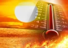 Narednih dana tropske temperature