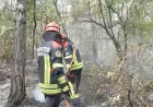Vatrogasci iz Nemačke i Rumunije pomažu srpskim vatrogascima 