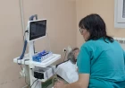 Ultrazvučni pregledi bez zakazivanja 