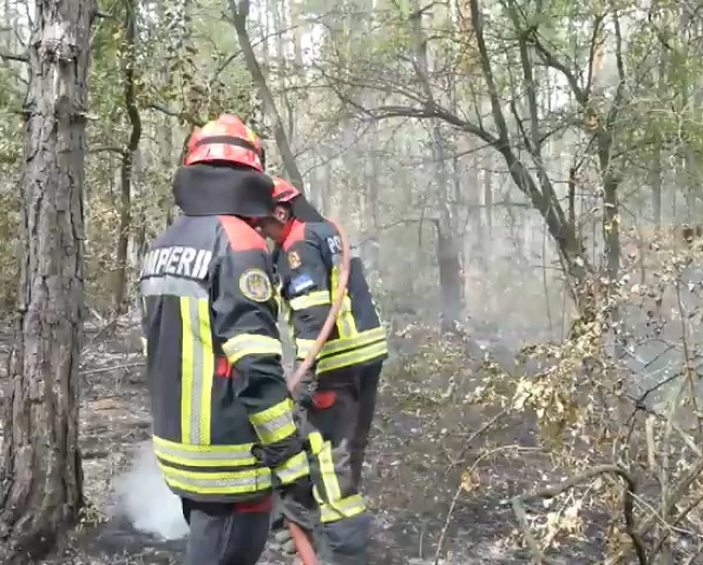Vatrogasci iz Nemačke i Rumunije pomažu srpskim vatrogascima 