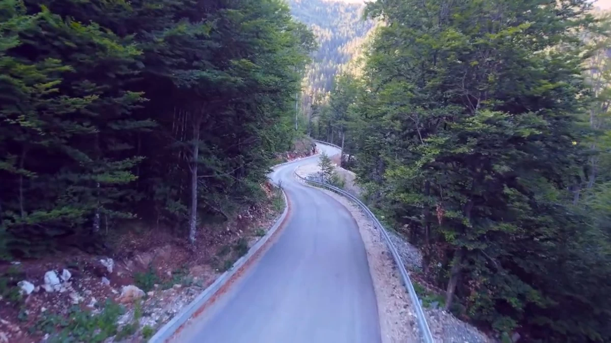 Ko je oslobođen plaćanja takse na Mokroj Gori?