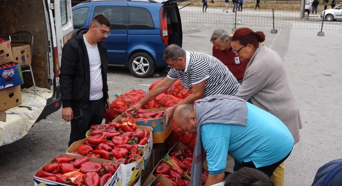 Paprika sve traženija 