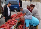 Paprika sve traženija 