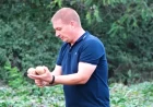 Slatki krompir iz Dobrića stigao do velikih trgovinskih lanaca