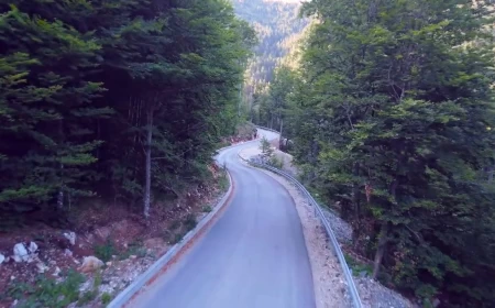 Ko je oslobođen plaćanja takse na Mokroj Gori?
