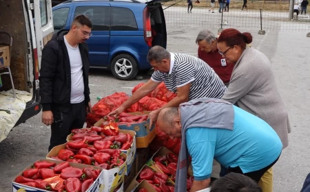Paprika sve traženija 