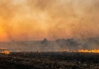 Podnete prekršajne prijave zbog paljenja njiva 
