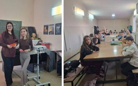 Radionica "Mi volimo naše bake i deke"